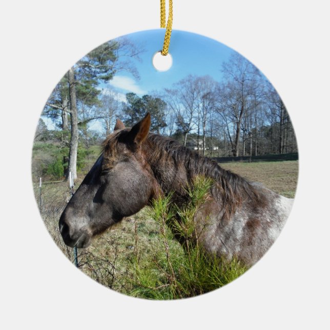 Coco och Cream Färgad Horse Julgransprydnad Keramik (Framsidan)