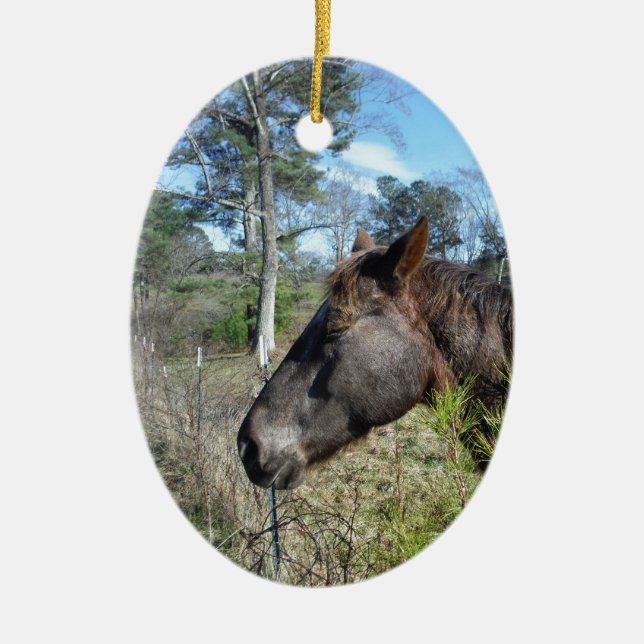 Coco och Cream Färgad Horse Julgransprydnad Keramik (Framsidan)