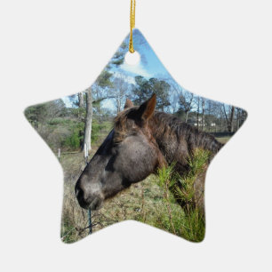 Coco och Cream Färgad Horse Julgransprydnad Keramik