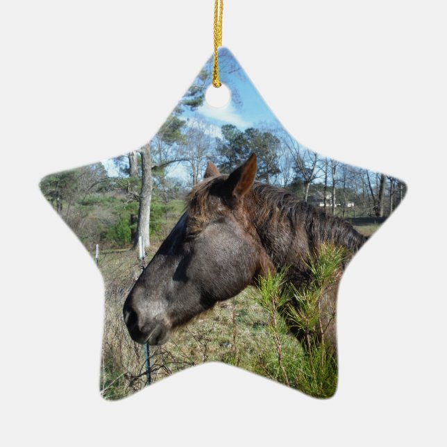 Coco och Cream Färgad Horse Julgransprydnad Keramik (Framsidan)