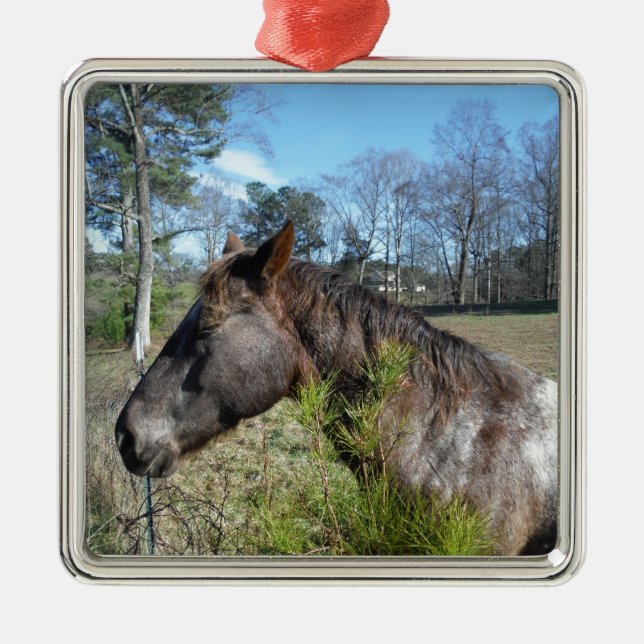 Coco och Cream Färgad Horse Julgransprydnad Metall (Framsidan)