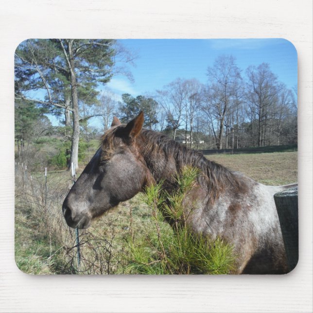 Coco och Cream Färgad Horse Musmatta (Framsidan)