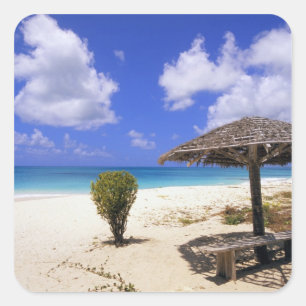 Coco Point Beach, Barbuda, Antigua Fyrkantigt Klistermärke