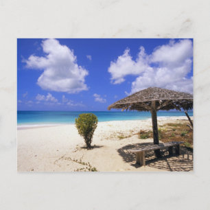 Coco Point Beach, Barbuda, Antigua Vykort