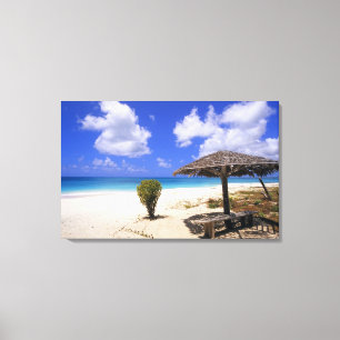 Coco Point-stranden, Barbuda, Antigua Canvastryck