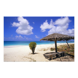 Coco Point-stranden, Barbuda, Antigua Fototryck