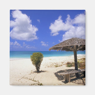 Coco Point-stranden, Barbuda, Antigua Magnet