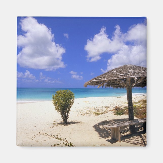 Coco Point-stranden, Barbuda, Antigua Magnet (Framsidan)