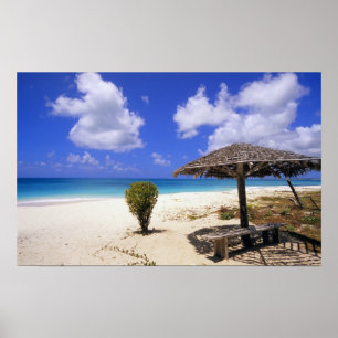 Coco Point-stranden, Barbuda, Antigua Poster