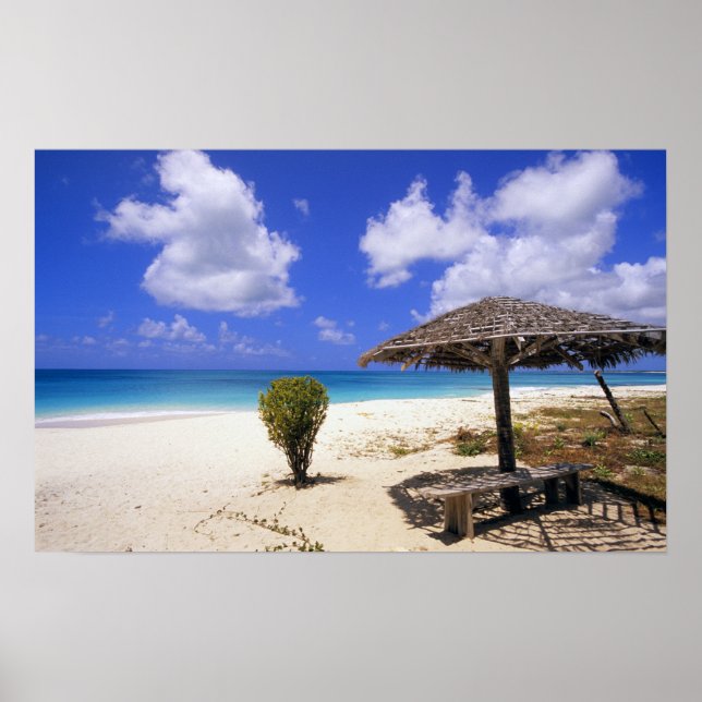 Coco Point-stranden, Barbuda, Antigua Poster (Framsidan)