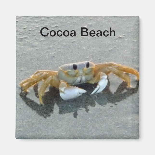 Cocoa Beach Crab Photo Magnet Florida (Framsidan)