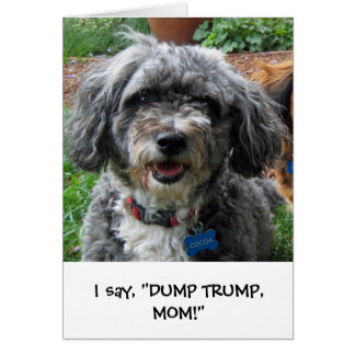 Cocoa! Hälsningskort