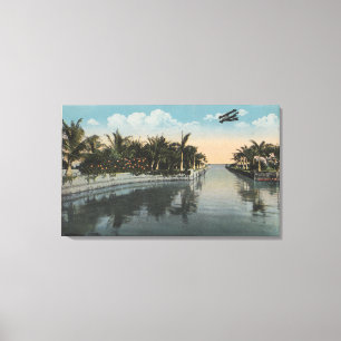 Cocoanut dunge, FL - Curtis James godskanal Canvastryck