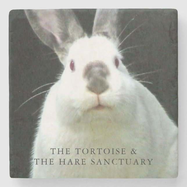 Cocokustfartyg Stenunderlägg (Framsidan)