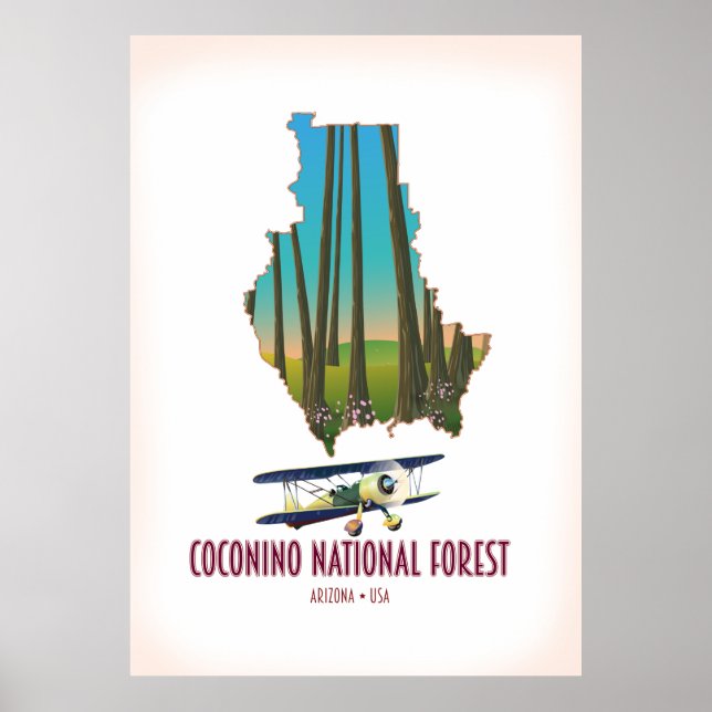 Coconino National Forest Arizona USA karta Poster (Framsidan)