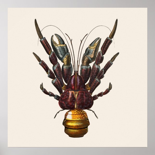 Coconut Crab Poster (Framsidan)