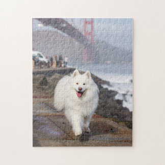 Coconut - Golden Grind Bridge Pussel