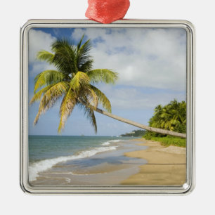Coconut Grove Beach vid Cades Bay, med St. 2 Julgransprydnad Metall