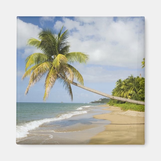 Coconut Grove Beach vid Cades Bay, med St. 2 Magnet (Framsidan)