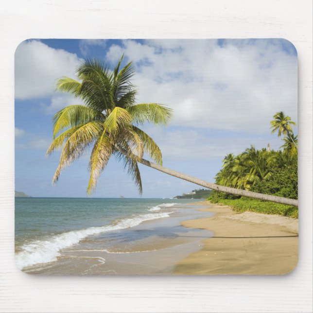 Coconut Grove Beach vid Cades Bay, med St. 2 Musmatta (Framsidan)