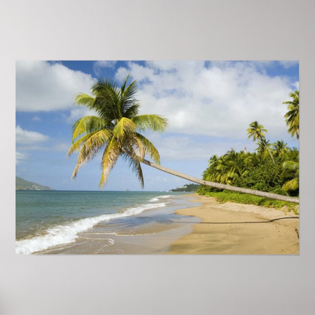 Coconut Grove Beach vid Cades Bay, med St. 2 Poster (Framsidan)