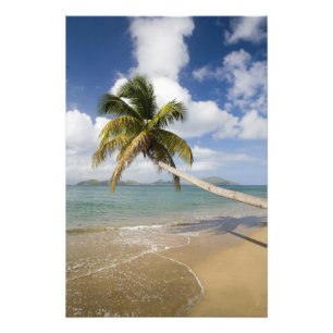 Coconut Grove Beach vid Cades Bay, med St. Fototryck