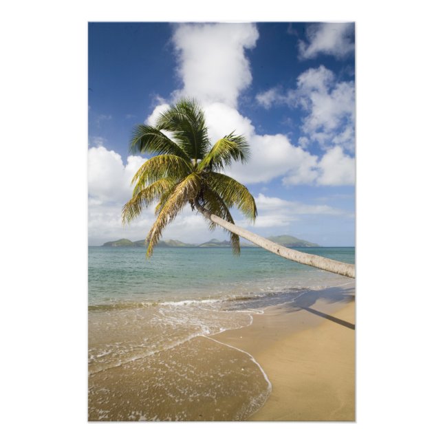 Coconut Grove Beach vid Cades Bay, med St. Fototryck (Framsidan)