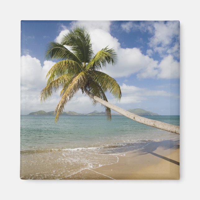 Coconut Grove Beach vid Cades Bay, med St. Magnet (Framsidan)