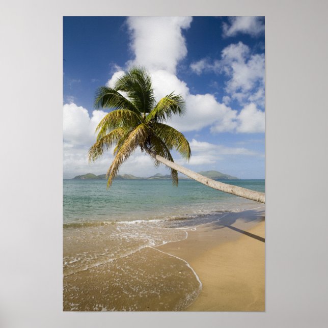 Coconut Grove Beach vid Cades Bay, med St. Poster (Framsidan)