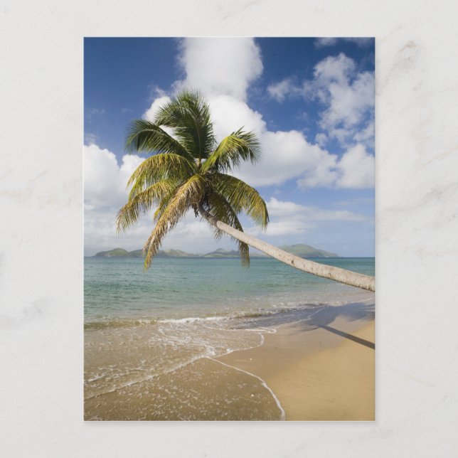Coconut Grove Beach vid Cades Bay, med St. Vykort (Framsida)