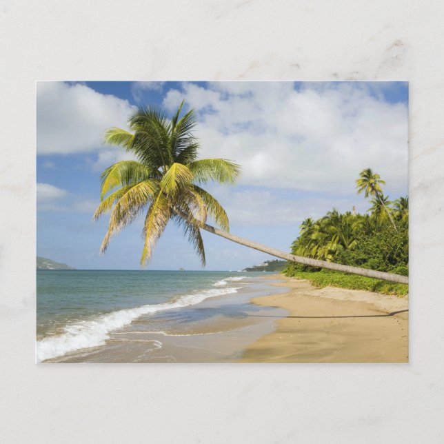 Coconut Grove-stranden vid Cades Bay, med St. 2 Vykort (Framsida)