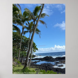 Coconut Handflatan Beach Hawaii Poster @3dudes1lif