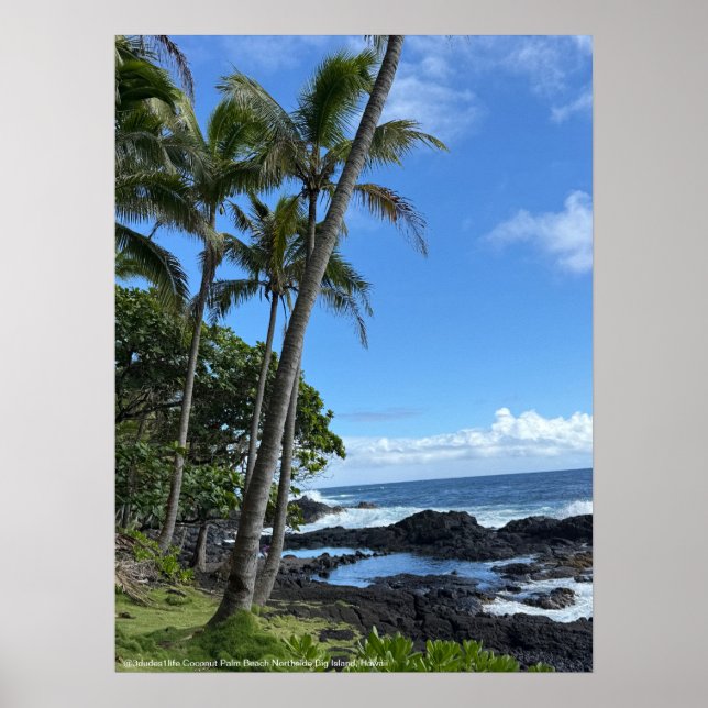 Coconut Handflatan Beach Hawaii Poster @3dudes1lif (Framsidan)