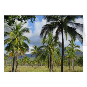Coconut Handflatan Forest Hälsningskort