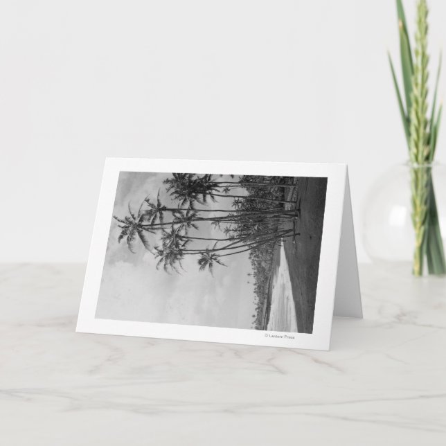 Coconut Handflatan - Hawaiianska öarnas foto Kort (Framsida)