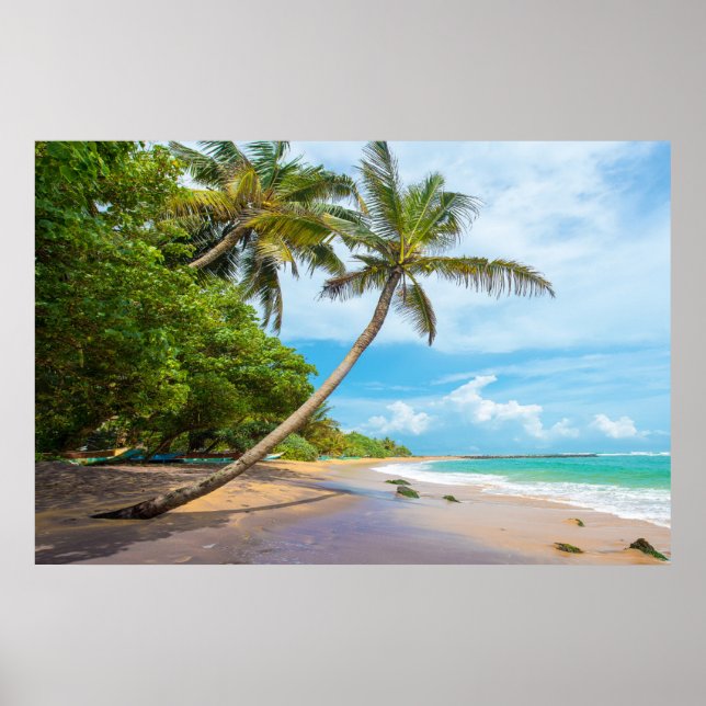 Coconut Handflatan, Mirissa Beach | Sri Lanka Poster (Framsidan)