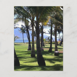 Coconut Handflatan Nui Hawaii Vykort