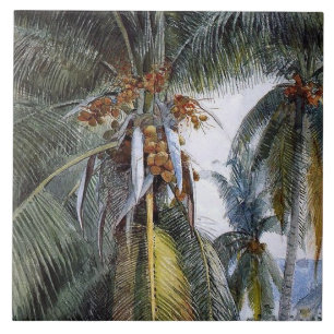 Coconut Handflatan, Nyckel Väster, Florida Kakelplatta