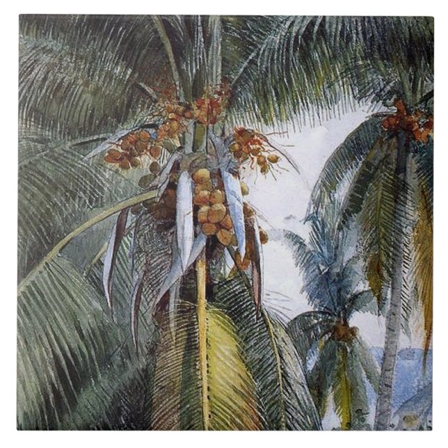 Coconut Handflatan, Nyckel Väster, Florida Kakelplatta (Framsidan)