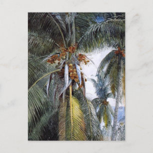 Coconut Handflatan, Nyckel Väster, Florida Vykort