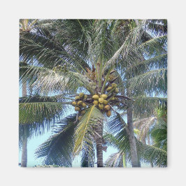 Coconut Handflatan Oahu Magnet