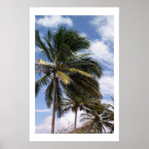 Coconut Handflatan Poster
