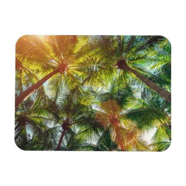 Coconut Handflatan träd på stranden Magnet (Horisontell)
