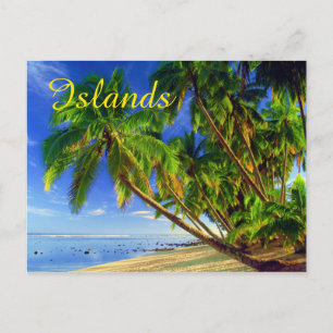 Coconut Handflatan Träd Sandy Tropical Island Beac Vykort