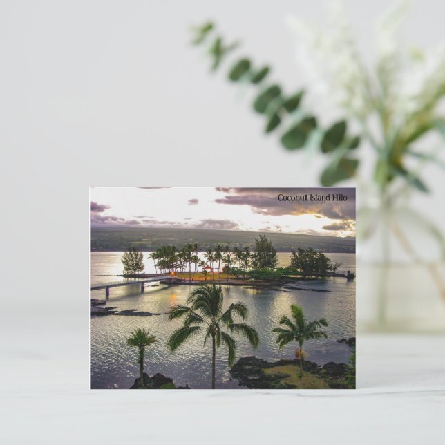 Coconut Island Hilo Hawaii Helg Vykort (Stående Fram)