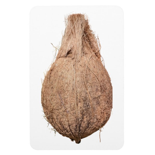 Coconut Photo Magnet (Vertikal)