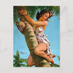 Coconut Pin Up Vykort