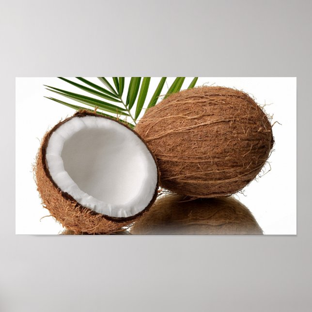 Coconut Poster (Framsidan)