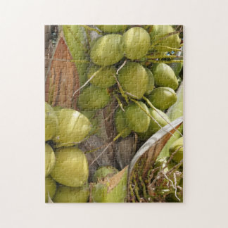 Coconut Puzzle Pussel