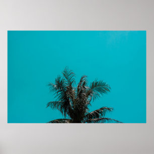 Coconut träd poster